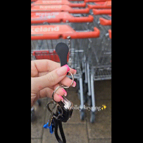 Mini Aluminum Alloy Key Ring Shopping Trolley Tokens(3Pcs)