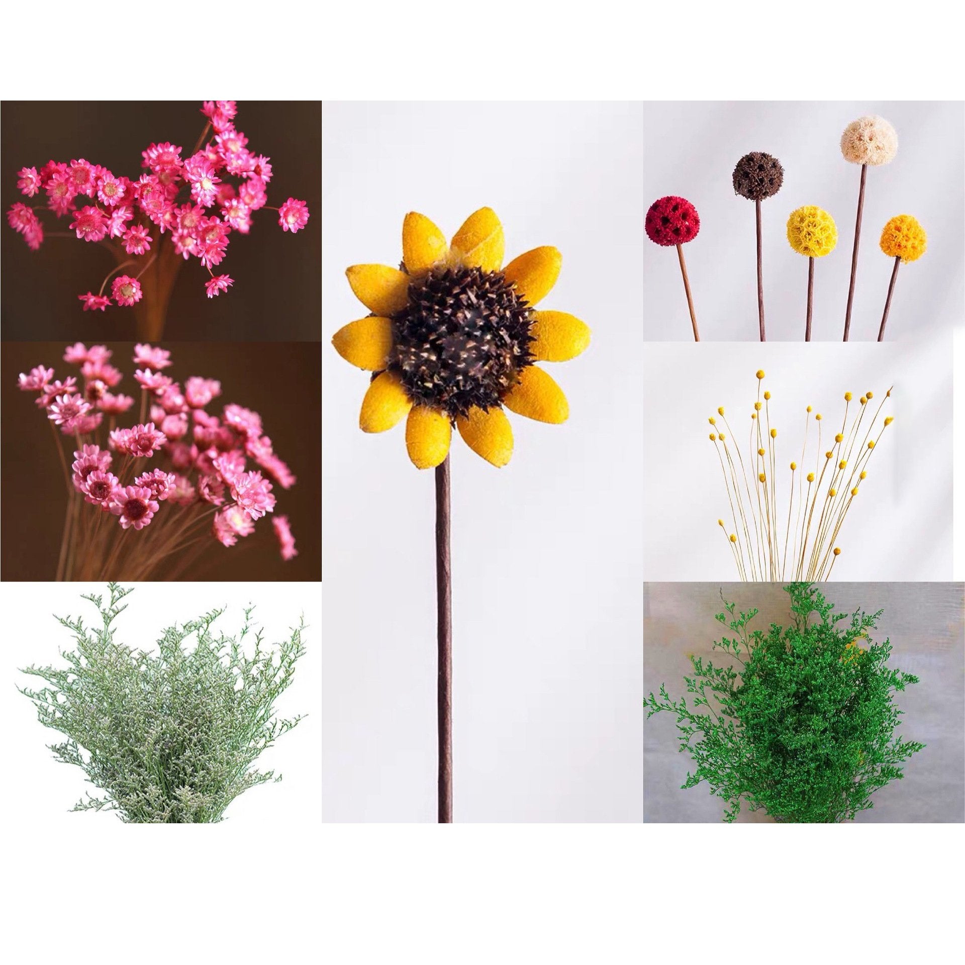 🎁Create Your Own Mini Garden🌸Mini Ceramics Vase Fridge Magnet