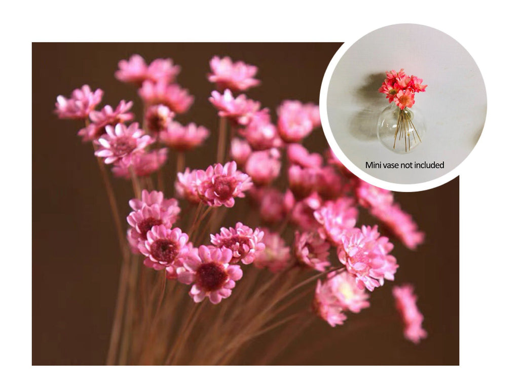 🎁Create Your Own Mini Garden🌸Mini Ceramics Vase Fridge Magnet