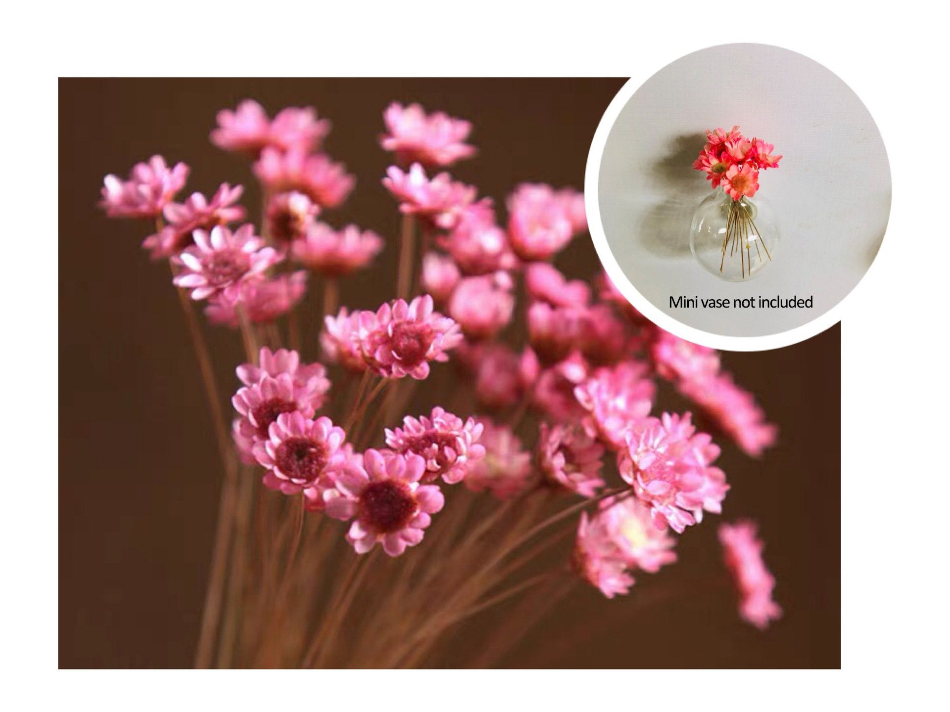 🎁Create Your Own Mini Garden🌸Mini Ceramics Vase Fridge Magnet