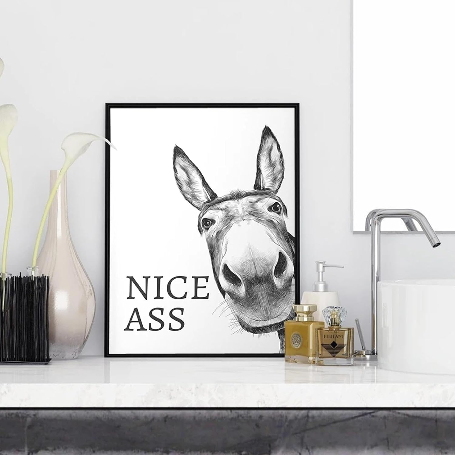 🤣The "Nice Ass" Cheeky Donkey Bathroom Canvas Art Hidden Humour for Pure Joy